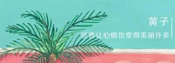 适合夏天种草的沐浴露,仙女必备的真花瓣沐浴露
