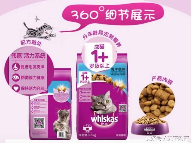 谁买了5000元的猫厕所？她们将猫养得比自己还精细