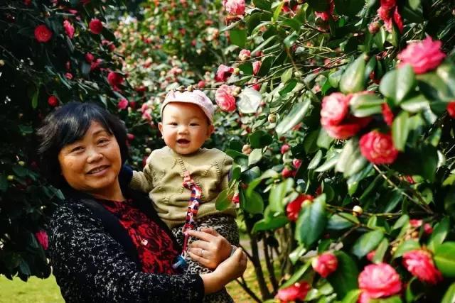 摄友作品点评,4月拍照