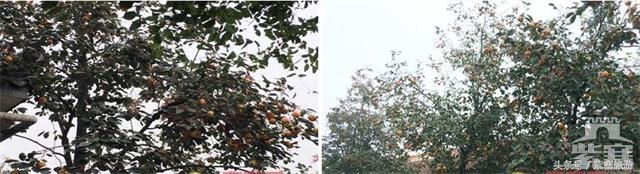 京津冀旅游农家院攻略,河北农家乐旅游攻略