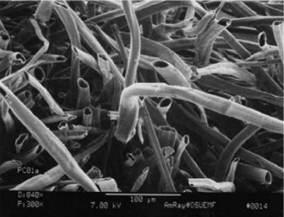 杨柳絮有哪些缺点不够及危害,杨柳絮是怎么造成的