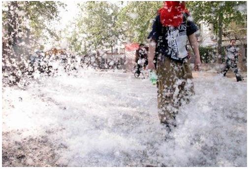 杨柳絮有哪些缺点不够及危害,杨柳絮是怎么造成的