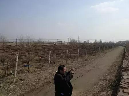 2016-2018年农产品市场需求,2024农产品市场数据分析报告