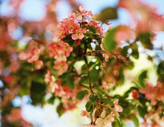 正能量的图片配文字励志,哲理人生经典语录文字图片