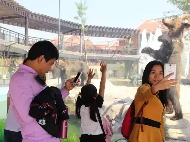 厦门灵玲国际马戏城大不大,五一厦门灵玲国际马戏