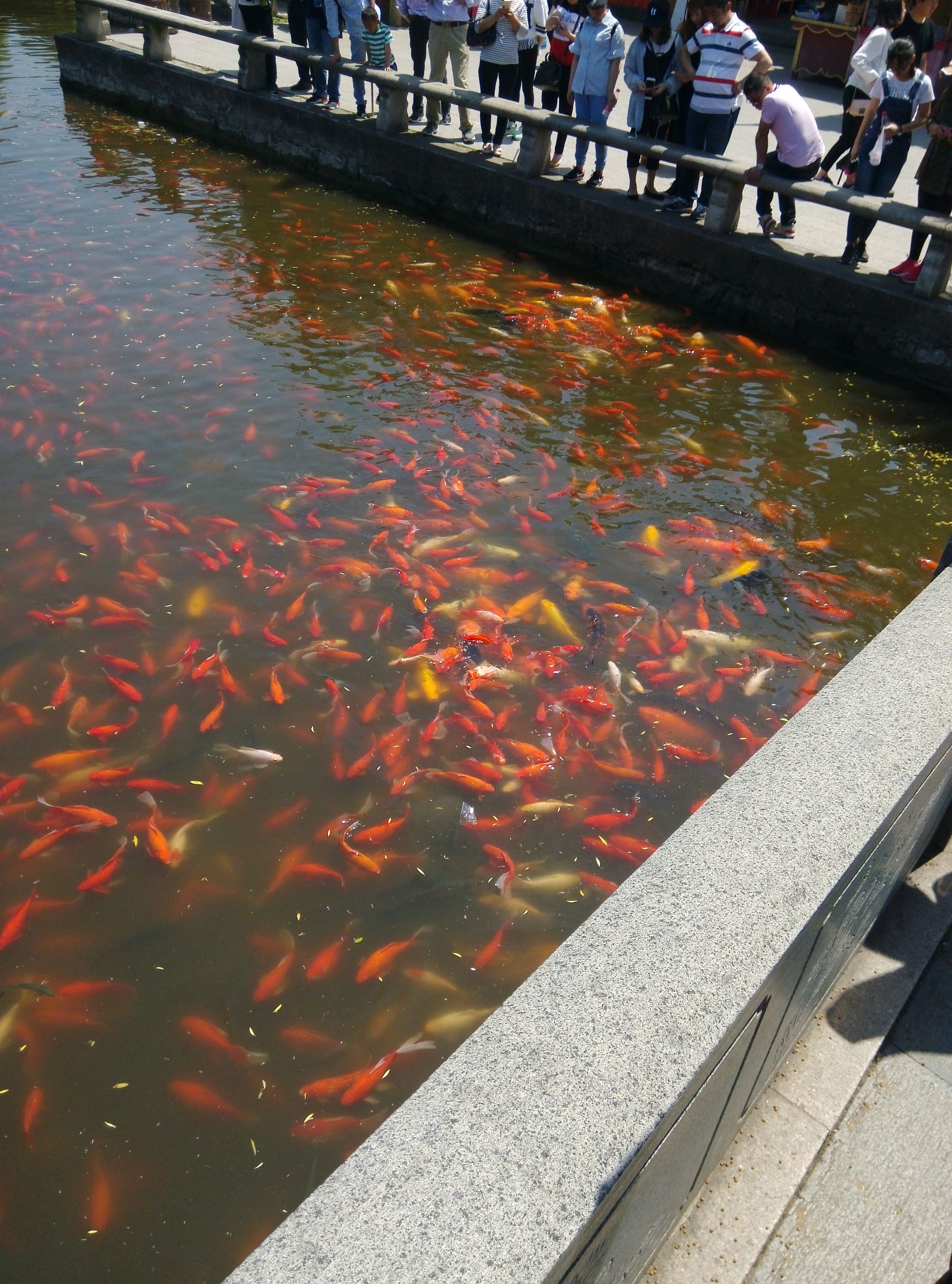 塘栖古镇,昆山周庄一日游多少钱