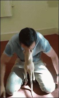 如何快速的跟男友分手,如何机智地与男友分手