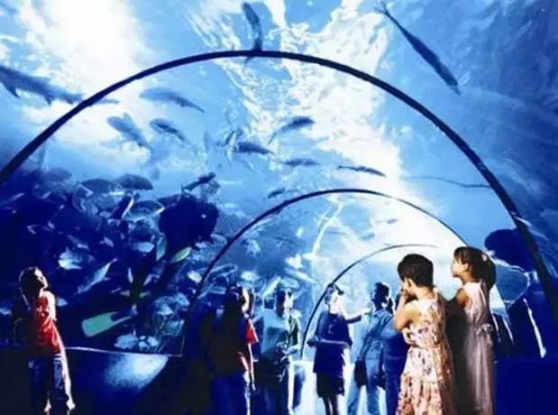 世界最美的四大海,世界最美十大海排名