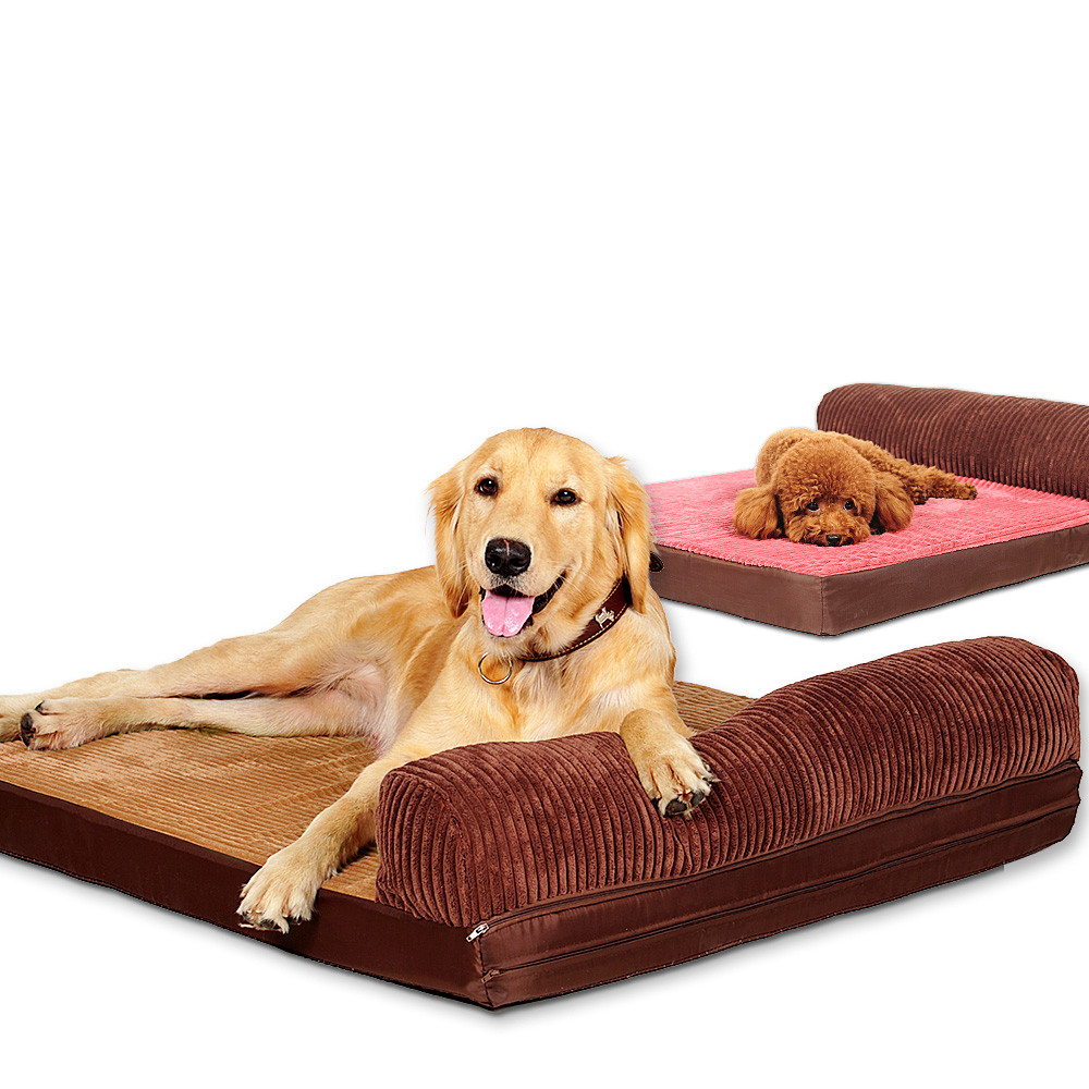 家有喵哥汪弟，体验好物帮你挑