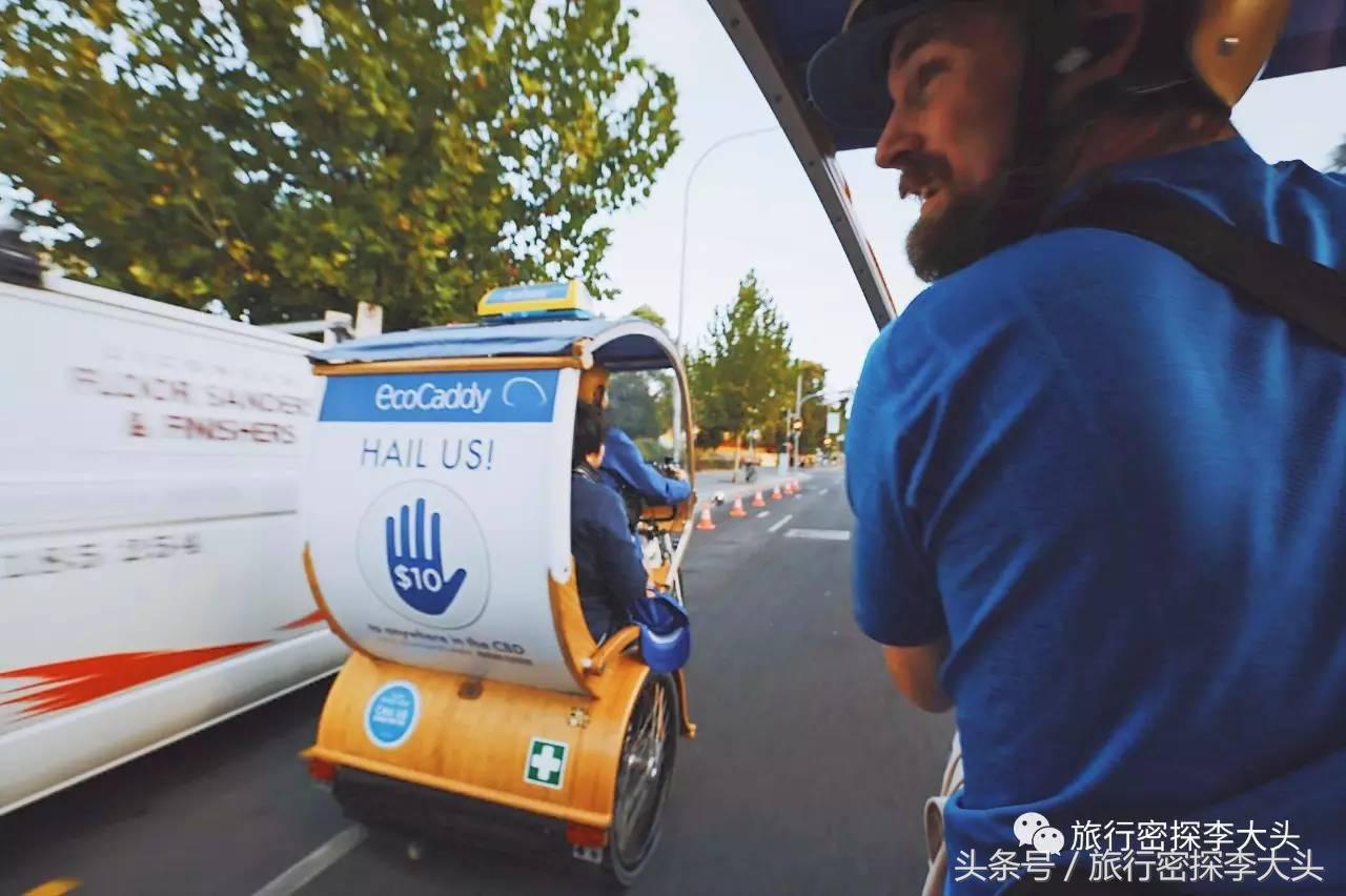 中国哪里可以抱考拉,全球哪里可以抱考拉