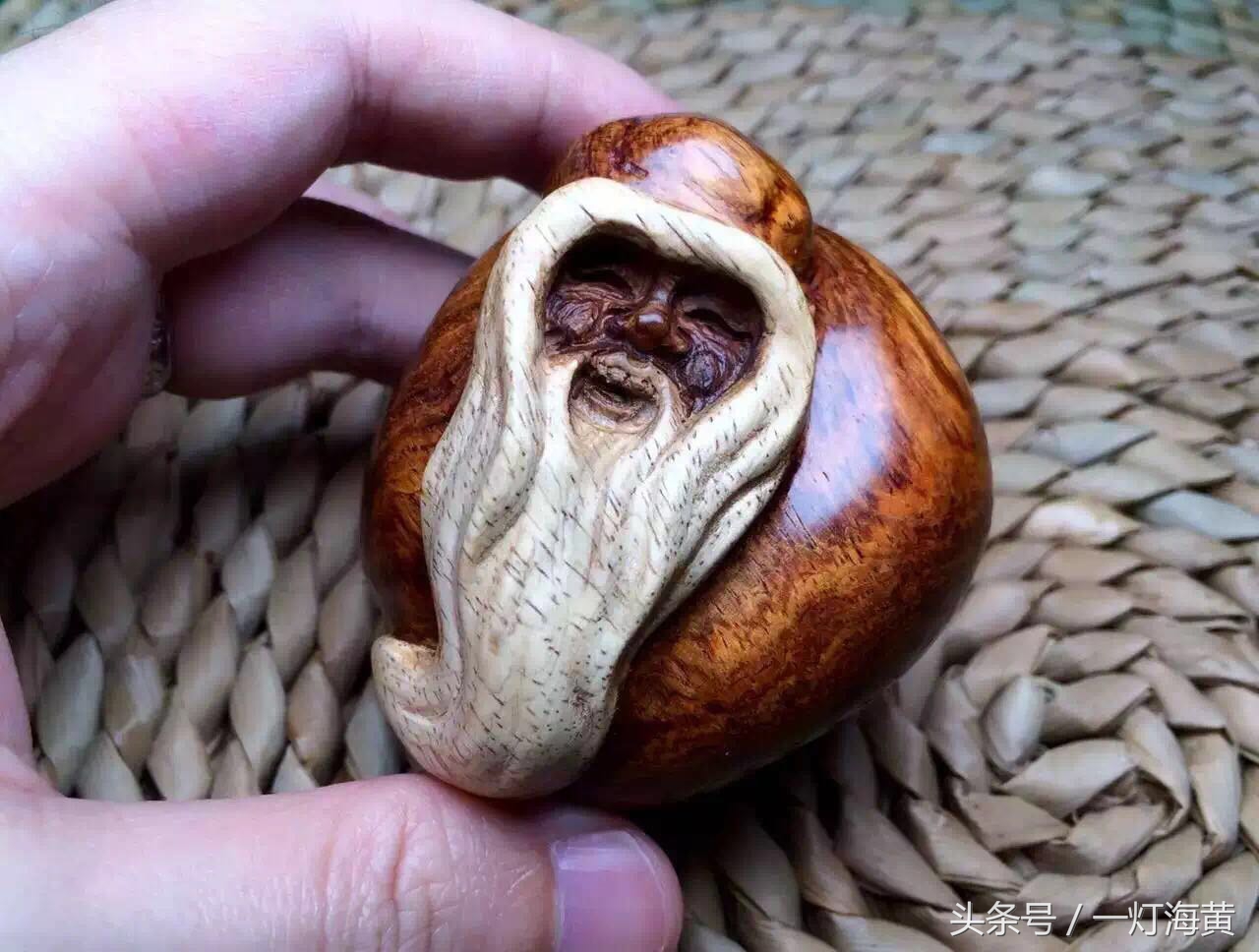 降香“有毒”，爱上海黄就是条“不归路”，带您领略真正在海黄