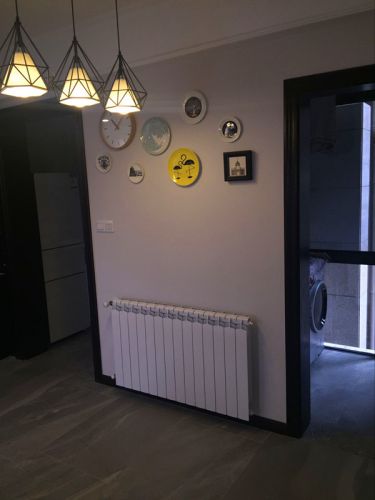 自建房全屋净水系统安装实例,三室一厅最佳散热系统