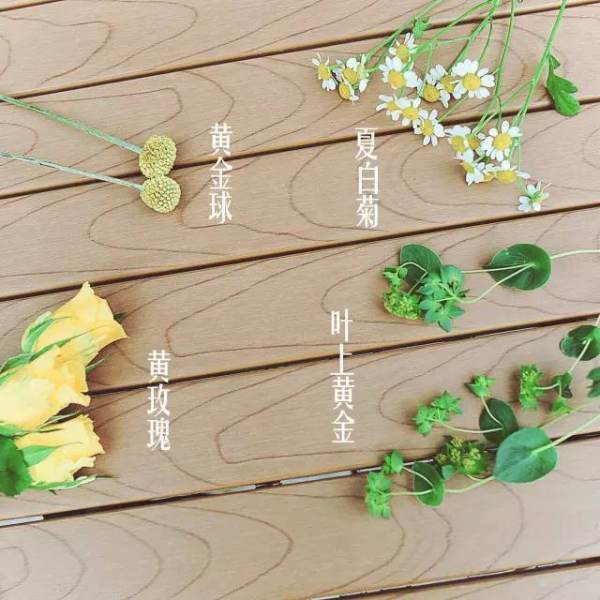 花艺步骤图,适合初冬的花艺