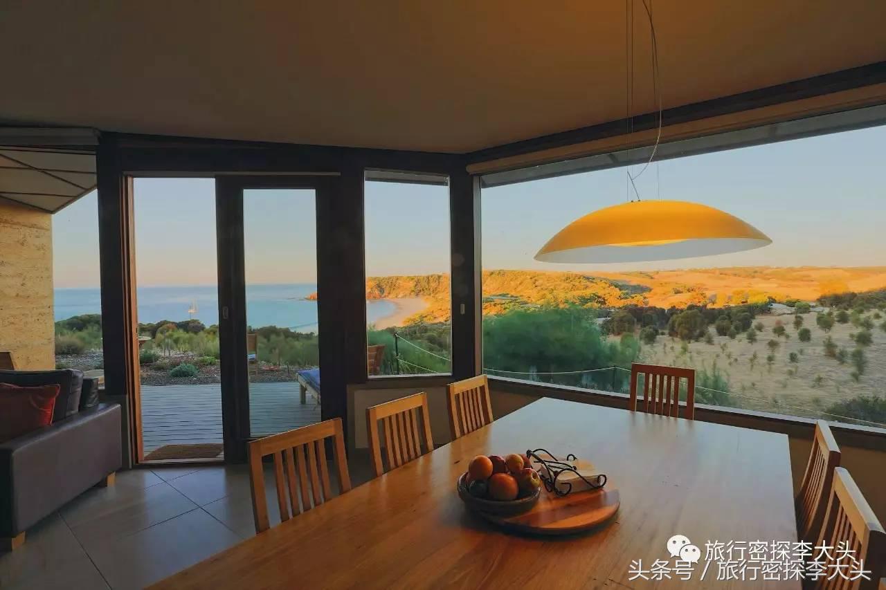 中国哪里可以抱考拉,全球哪里可以抱考拉