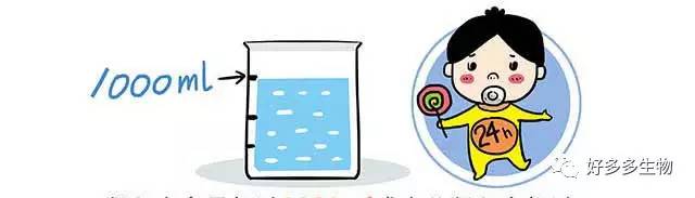 肾积水——尿都堵了，肾怎么能好