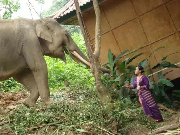 泼水节后，西双版纳该怎么玩，附防高温关注事项