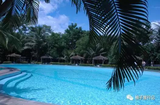 泼水节后，西双版纳该怎么玩，附防高温关注事项