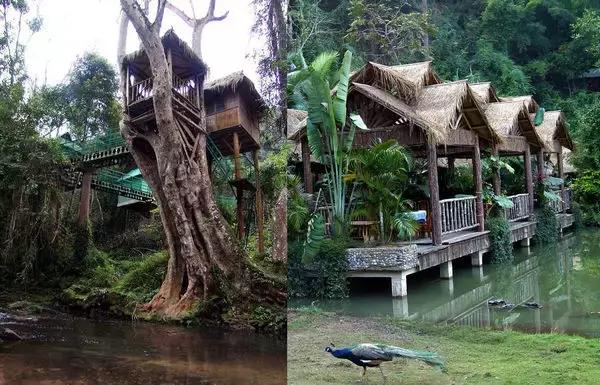 泼水节后，西双版纳该怎么玩，附防高温关注事项