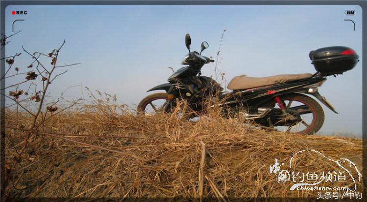 放流才有路亚的乐趣,放流能让资源更丰富