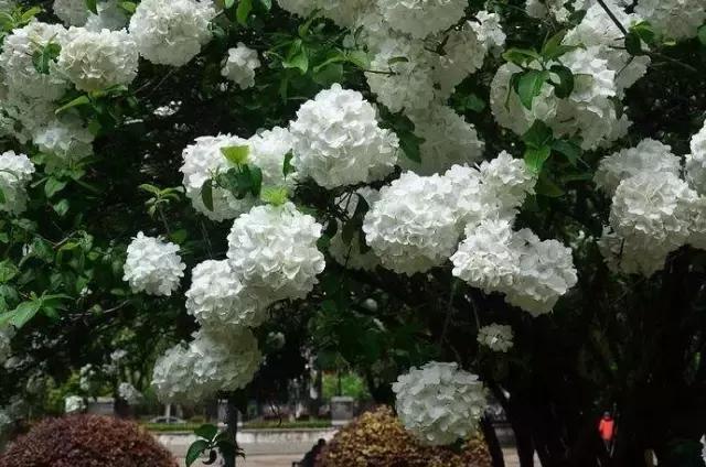 不花一分钱游遍中国,南京六个小众景点