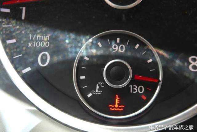 又到了“大雪纷飞”的季节，今天教你们如何自制防杨棉中网