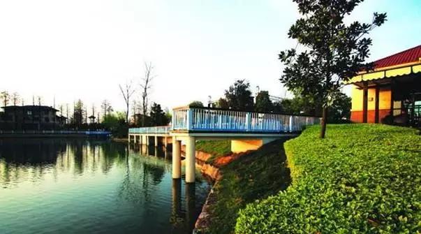 地铁8号线明天会全线开通吗,地铁8号线未来会南延到新机场吗