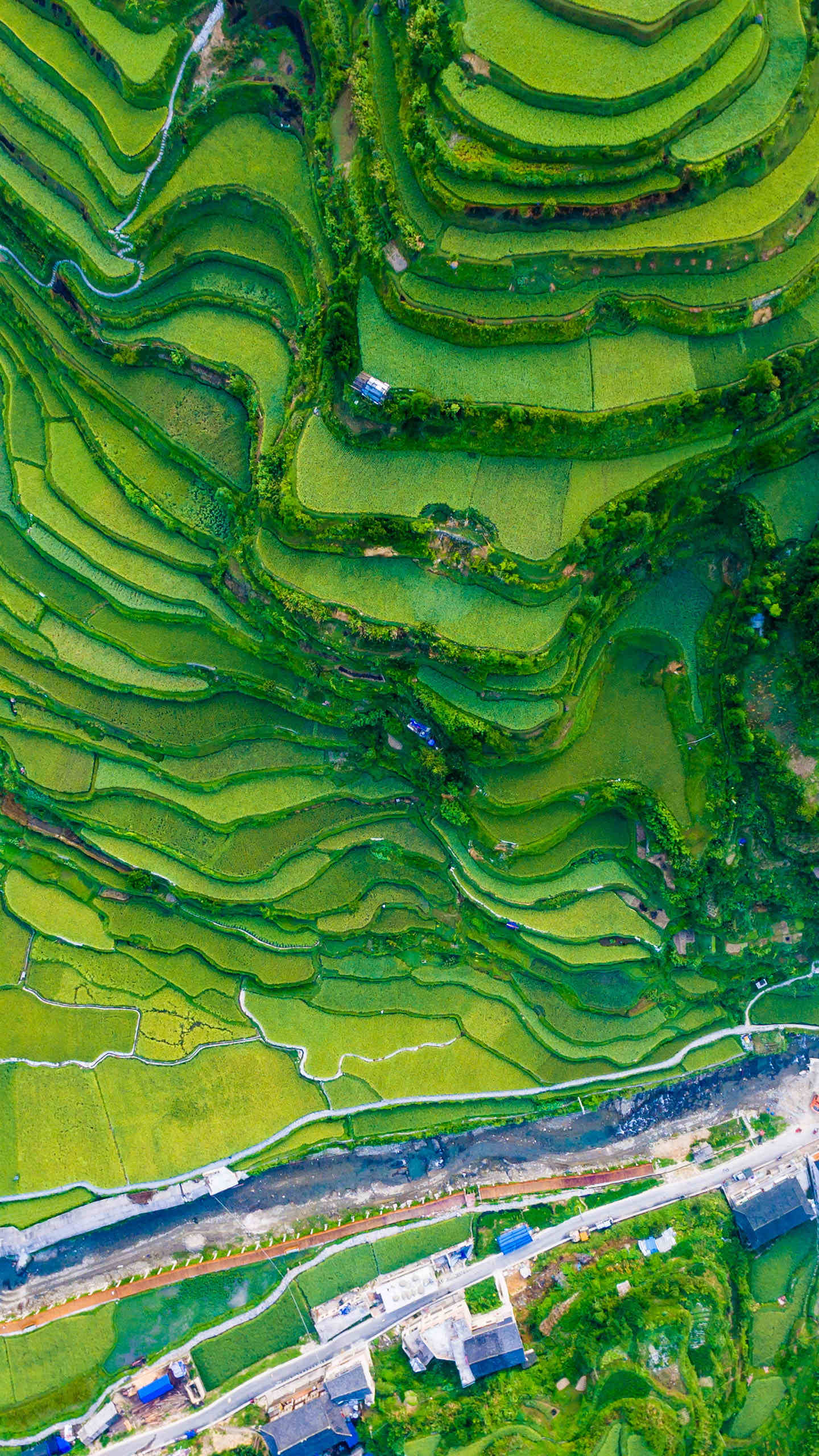 我想我是海-生活的脑海