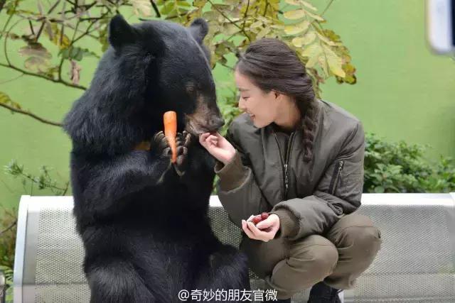 搞人的直播已经腻了，有家直播网站搞起了动物直播