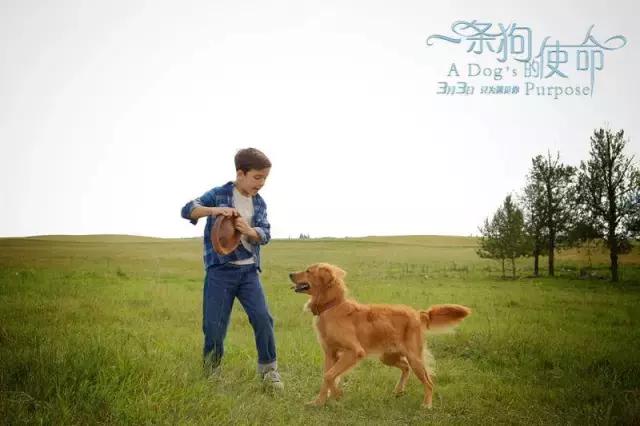 搞人的直播已经腻了，有家直播网站搞起了动物直播