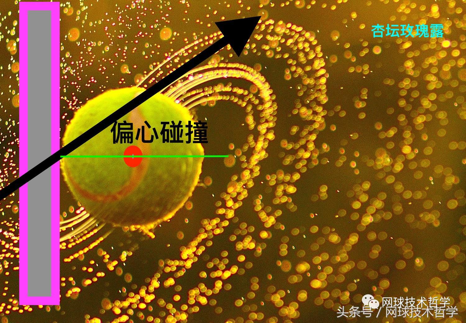 是“摩擦”产生了上旋球吗？偏心碰撞力学说“NO”