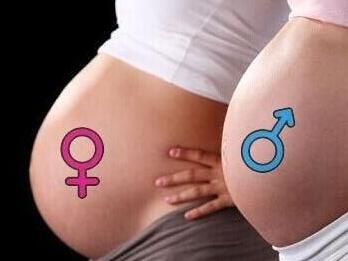生男生女是由男方决定还是女方,生男生女是男的决定还是女的决定