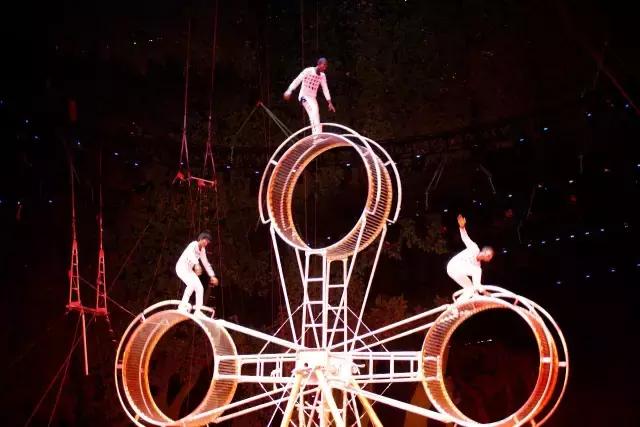 厦门灵玲国际马戏城大不大,五一厦门灵玲国际马戏