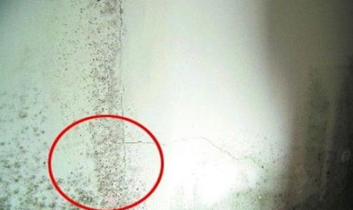 室内墙壁发霉怎么处理,84消毒液去除墙壁发霉