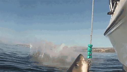 约会的时候女朋友老是玩手机,约会的时候女朋友太紧张怎么办