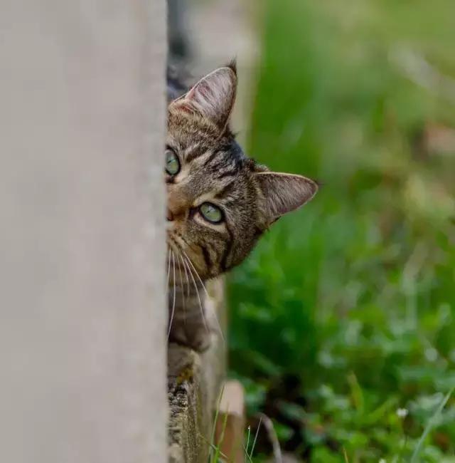 摄友作品点评,4月拍照