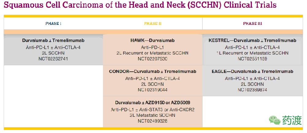 头颈鳞状细胞癌治愈率,头颈癌有哪些知识