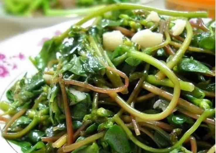 逆天了中国吃货！多肉植物炒肉吃！