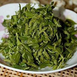 杨柳絮有哪些缺点不够及危害,杨柳絮是怎么造成的