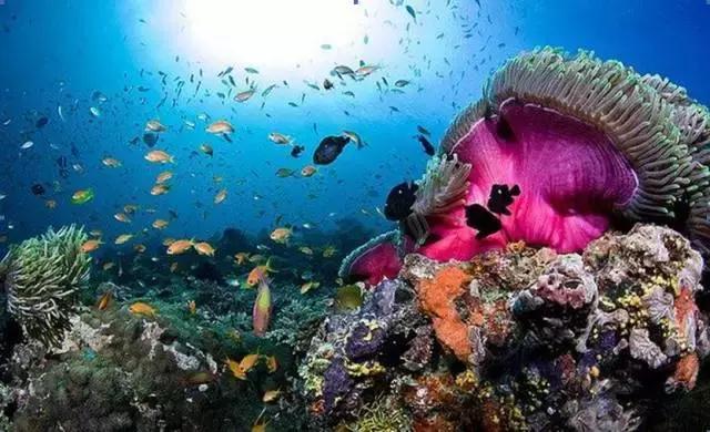 世界最美的四大海,世界最美十大海排名