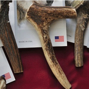 家有喵哥汪弟，体验好物帮你挑