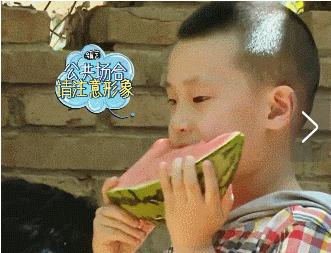 处女座宝宝的日常,处女座的宝宝好带吗