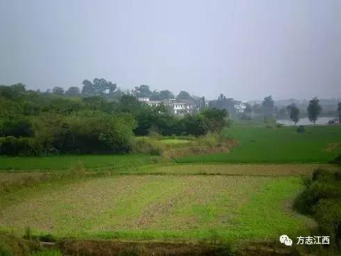 汉唐王朝陶瓷怎么样,各个朝代的洪州窑瓷器特点