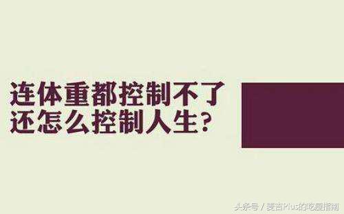 麦吉减肥法全攻略,麦吉减肥法的四个阶段