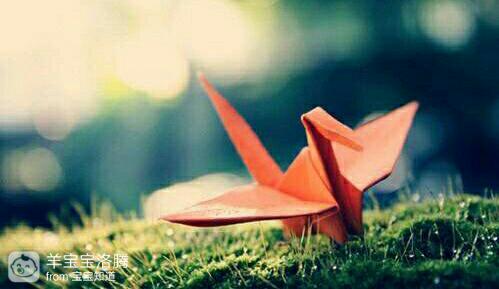 发现老公是双性别恋还能要吗,发现老公是双性别恋特征