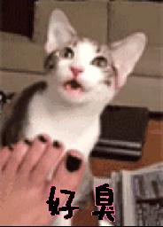 医生脚臭一招根除,学生去脚臭最快的方法