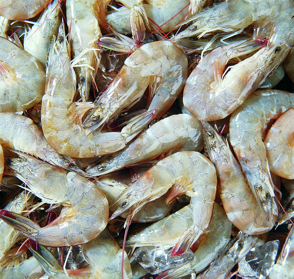 钓鱼时如何选用饵料味型,钓鱼饵料味型重要还是态势重要