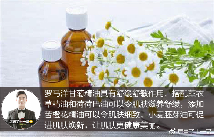 罗马洋甘菊舒缓润泽精油,罗马洋甘菊精油可以泡脚吗