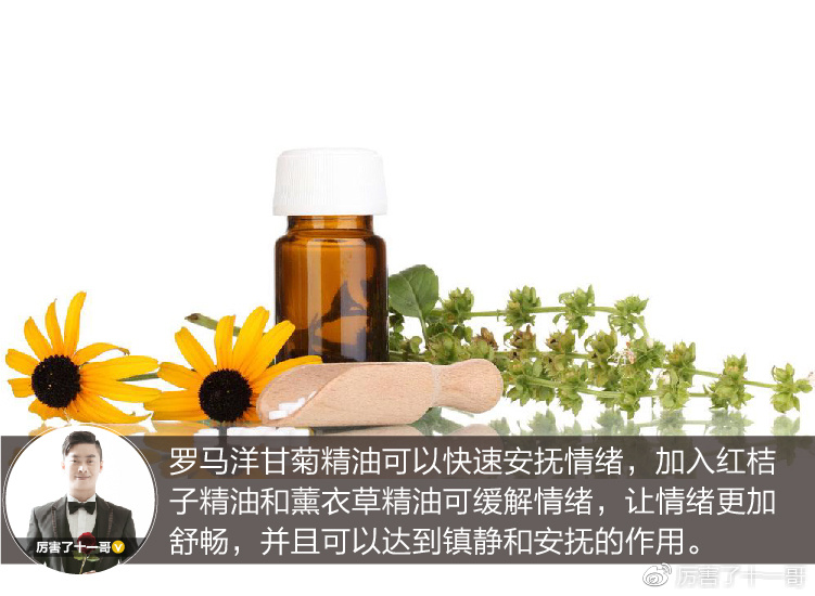罗马洋甘菊舒缓润泽精油,罗马洋甘菊精油可以泡脚吗