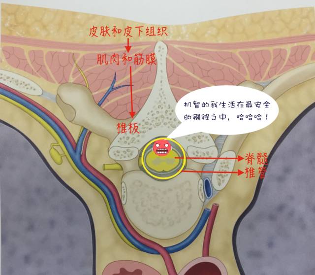 腰腿疼是椎管肿瘤吗,腰腿疼痛需要关注脊髓肿瘤吗