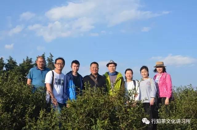 三大沱茶是哪些茶类的产地,沱茶基本知识